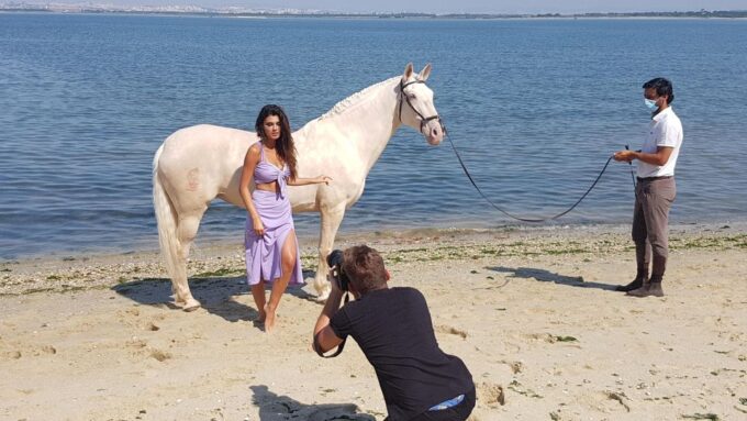 Photo Session With Horses on the Beach or in the Countryside - Meeting Point and Location