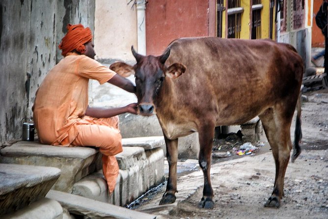 Photo Tour In Holy Varanasi - Key Attractions
