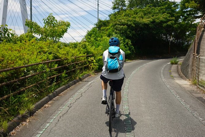 Photogenic Shimanami Kaido Private Cycling Tours - Fitness Level and Accessibility