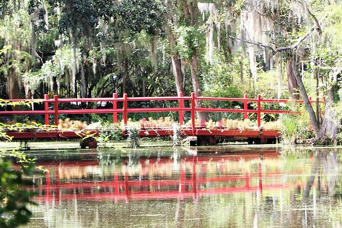 Photograph Low Country Wildlife With a Professional Photographer - Key Points