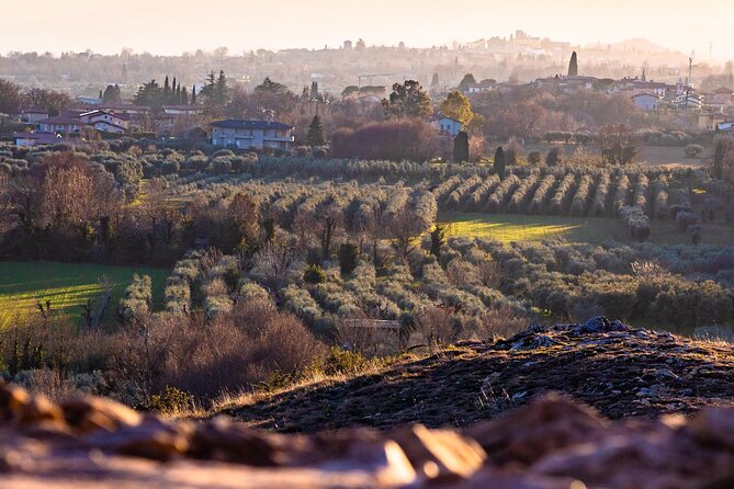 Photographic Tour at Sunset on Lake Garda - Meeting Point and End Location
