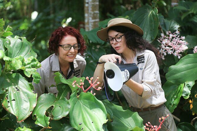 Photography and Nature in Cairns Botanic Gardens Let's Go Buggin - The Itinerary Breakdown