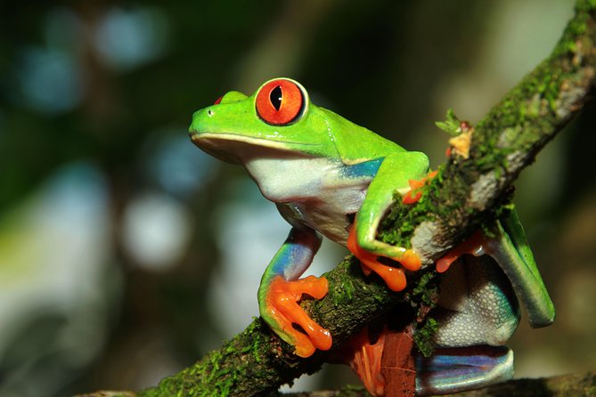 Photography Tour at Natura Eco Park - Key Points