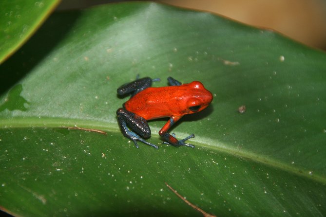 Photography Tour at Natura Eco Park - Inclusions and Cancellation Policy