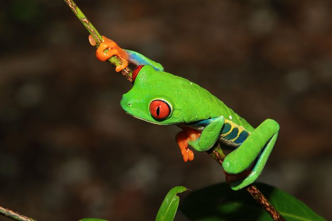 Photography Tour at Natura Eco Park - Capturing Diverse Wildlife