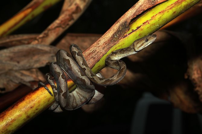 Photography Tour at Natura Eco Park - Exploring Unique Habitats