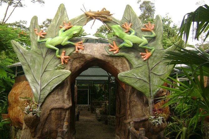 Photography Tour at Natura Eco Park - Photographing Tropical Plants