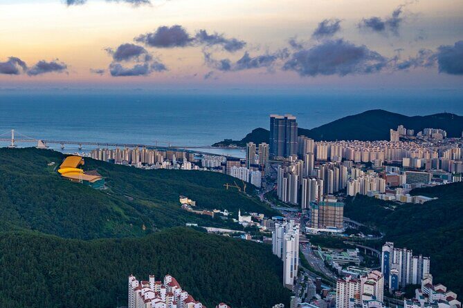 [Photography Tour] Busan Night Tour (Max. 7 Pax) - Who Should Consider This Tour?