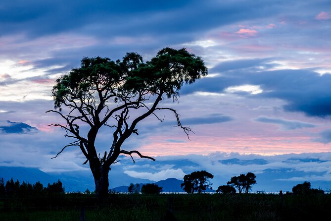 Photography Tour From Queenstown to Glenorchy - 1/2 Day - Booking and Pricing Information