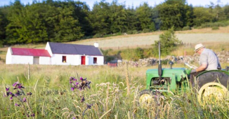 Photography Tour of Carlingford & Surrounding Area - Experience Highlights