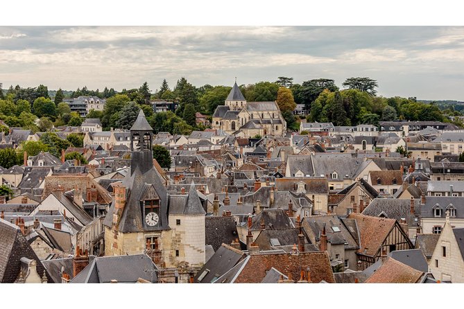 Photography Tour of Château Amboise - Inclusions