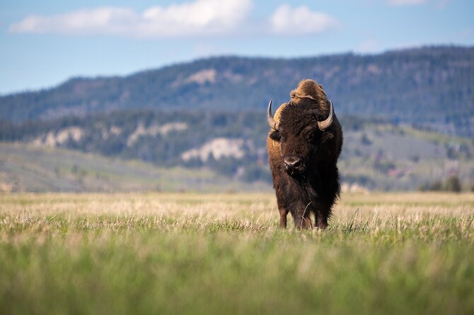Photography Workshop in Grand Teton National Park - Workshop Schedule