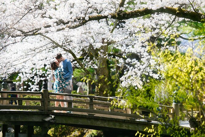 Photoshoot Session by Professional Photographer in Kanazawa - Meeting and Pickup Arrangements