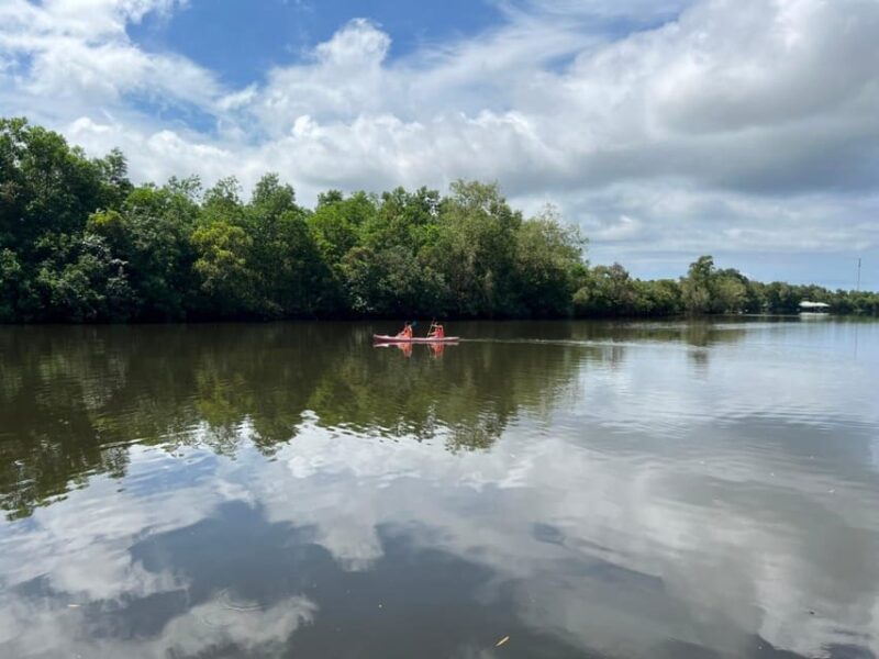 Phu Quoc 1Day Tour Northern Islands & Kayak Adventure - Bee Farm Visit