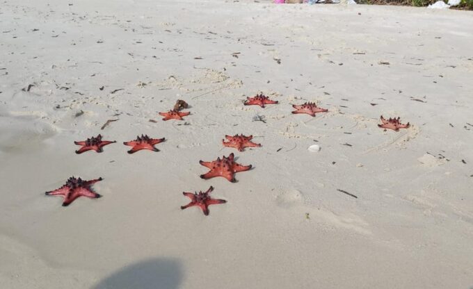 Phu Quoc 1Day Tour Northern Islands & Kayak Adventure - National Park Drive