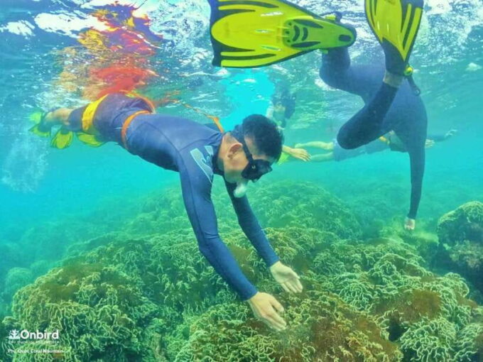 Phu Quoc: 2 Islands Trip – Gam Ghi Island – May Rut Trong Island - Destination Highlights: May Rut Trong Island