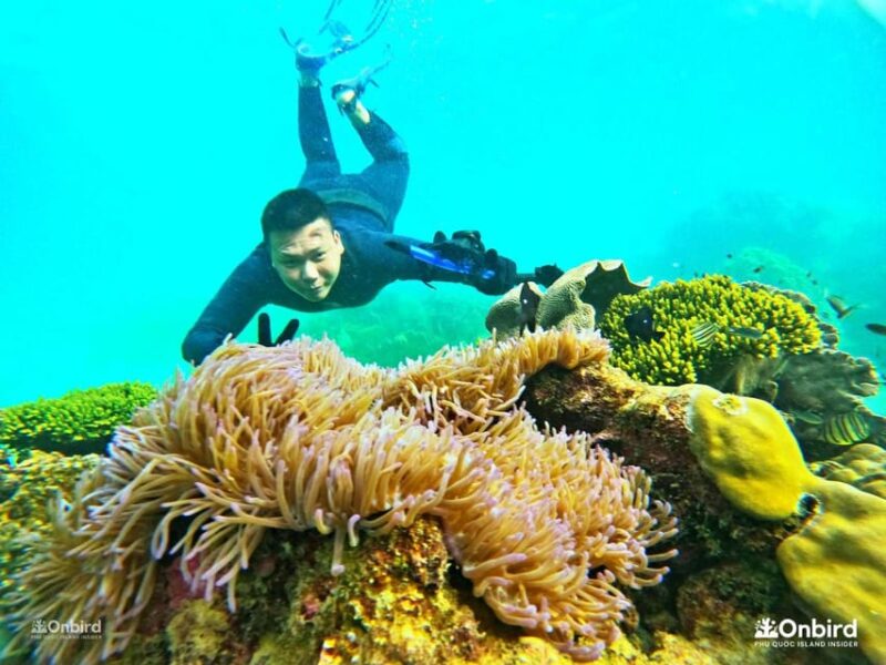 Phu Quoc: 3-4 Hours Private Self-guided Snorkeling Charter - Departure and Return Details