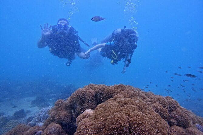 Phu Quoc Car Charter Rental - The Experience from Real Travelers