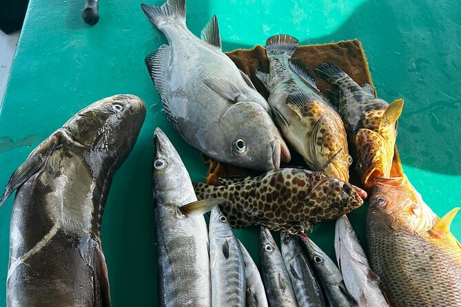 Phu Quoc Deep Fishing Tour - Tour Overview