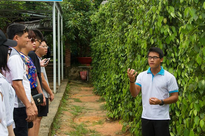 Phu Quoc Discover South and North Together_Private Tour - Customer Feedback and Ratings