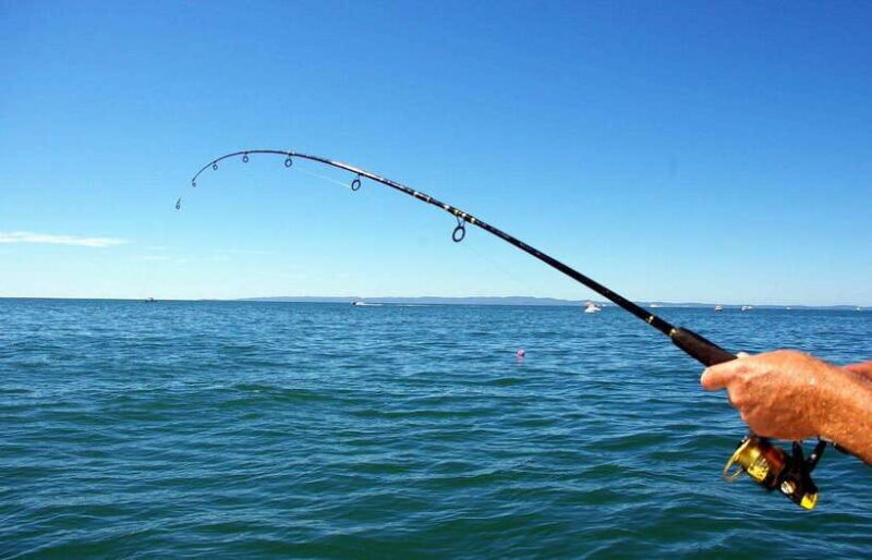 Phu Quoc: Full-Day Fishing Tour With Lunch/Dinner - Important Information and Recommendations
