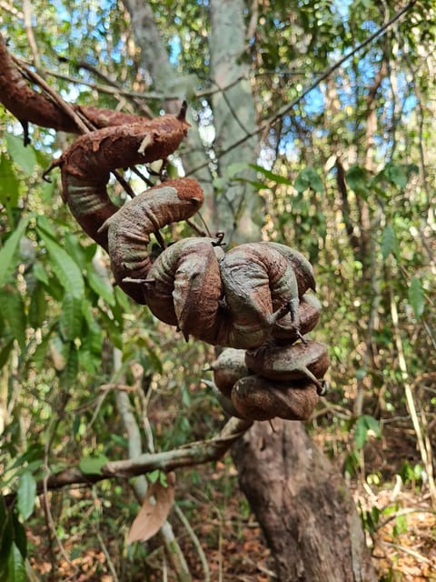 Phu Quoc HIKING Tour: National Park - Fishing Village - Frequently Asked Questions