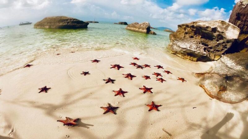 Phu Quoc: Kayaking With Starfish Beach and Bee Farm Tour - Inclusions and Exclusions