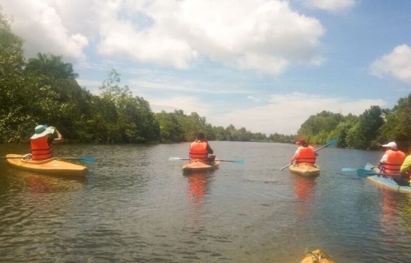 Phu Quoc: Kayaking With Starfish Beach and Bee Farm Tour - Experiencing the Bee Farm
