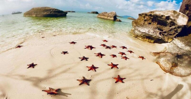Phu Quoc: Kayaking With Starfish Beach and Bee Farm Tour - Exploring Ganh Dau Cape