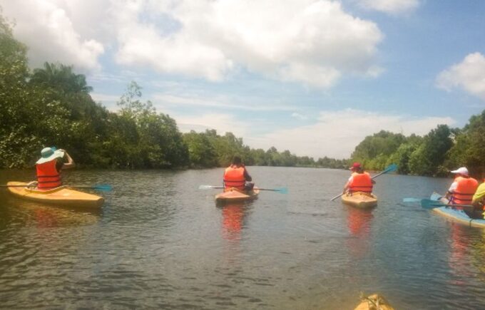 Phu Quoc: Kayaking With Starfish Beach and Bee Farm Tour - Included Amenities and Services