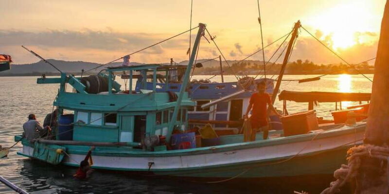 Phu Quoc: Night Squid Fishing Tour With Dinner - Key Points