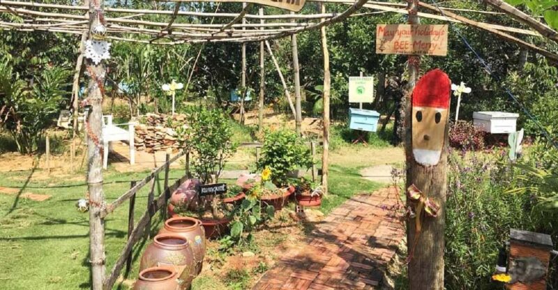 Phu Quoc North and South Island 1-Day Adventure - Transportation and Guide