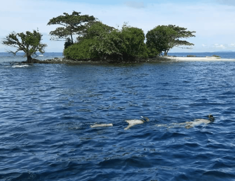 Phu Quoc Pro-Guided Coral Reef Diving Experience - Participant Restrictions