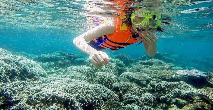 Phu Quoc Pro-Guided Coral Reef Diving Experience - Pickup and Transportation