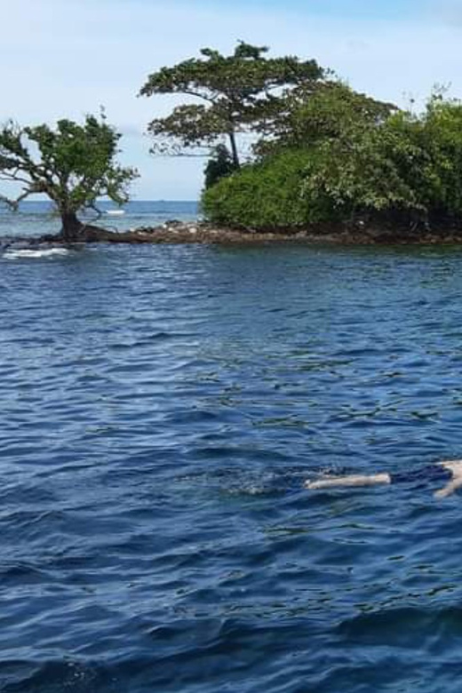 Phu Quoc Pro-Guided Coral Reef Diving Experience - Key Points