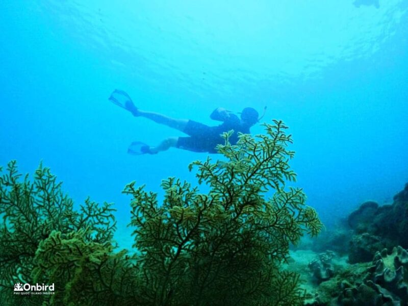 Phu Quoc: Pro Snorkeling to 3 Coral Reefs & Beach (MAX 12) - Included Amenities