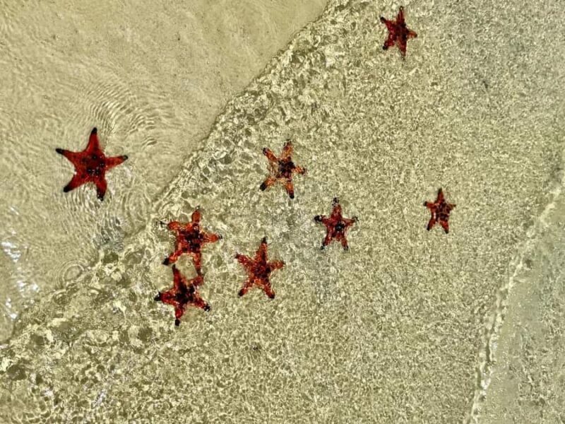 Phu Quoc: Rach Vem Starfish Kingdom & Cooking Experience - Analyzing the Value: Is It Worth It?