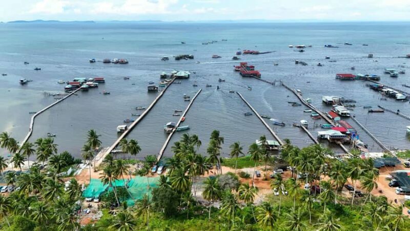 Phu Quoc: Rach Vem Starfish Kingdom & Cooking Experience - The Sum Up