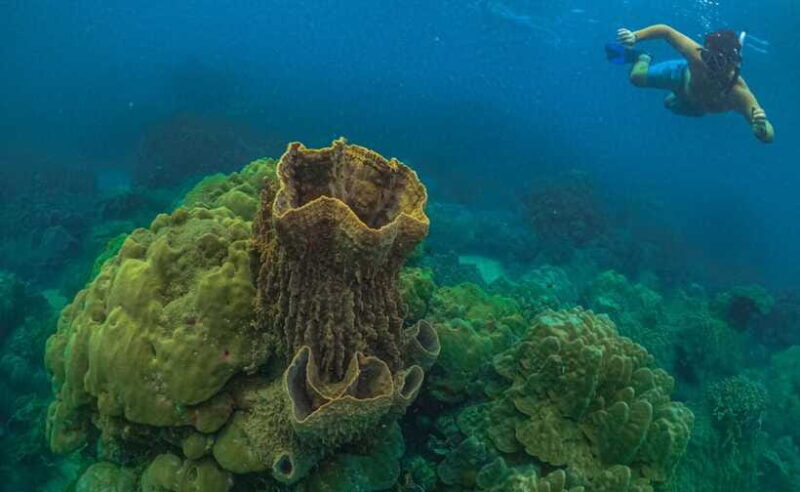 Phu Quoc : Scuba Diving and Parasailing at Roi Island - Frequently Asked Questions