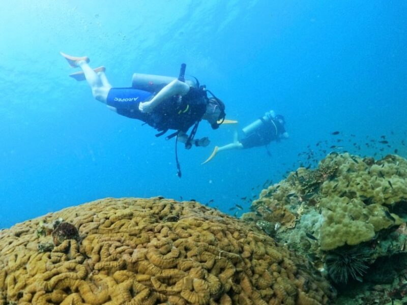 Phu Quoc: Scuba Diving Experience for All Levels - Marine Life and Coral