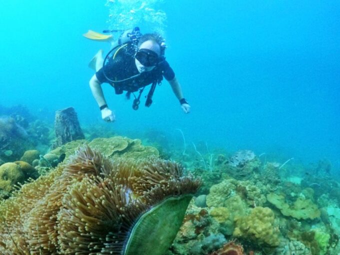 Phu Quoc: Scuba Diving Experience for All Levels - Restrictions and Requirements