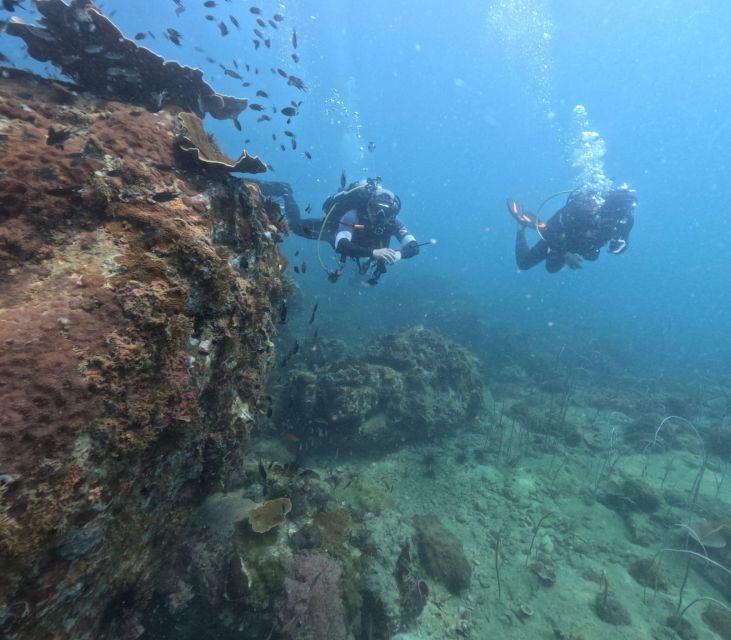 Phu Quoc: Scuba Diving Tour, One Day in the Ocean of Phu Quoc - Key Points