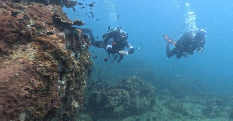Phu Quoc: Scuba Diving Tour, One Day in the Ocean of Phu Quoc - Tour Duration and Schedule