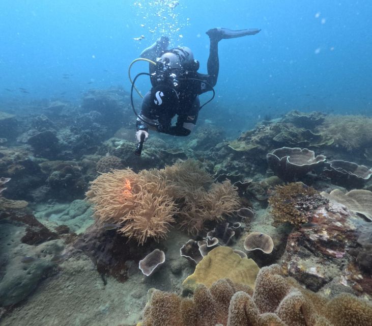 Phu Quoc: Scuba Diving Tour, One Day in the Ocean of Phu Quoc - Transportation and Tour Type