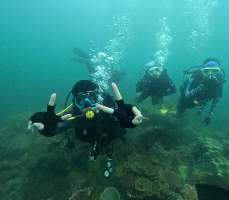 Phu Quoc: Scuba Diving Tour, One Day in the Ocean of Phu Quoc - Diving Highlights and Activities
