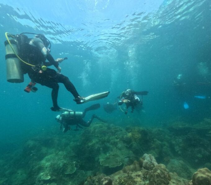 Phu Quoc: Scuba Diving Tour, One Day in the Ocean of Phu Quoc - Inclusions and Exclusions
