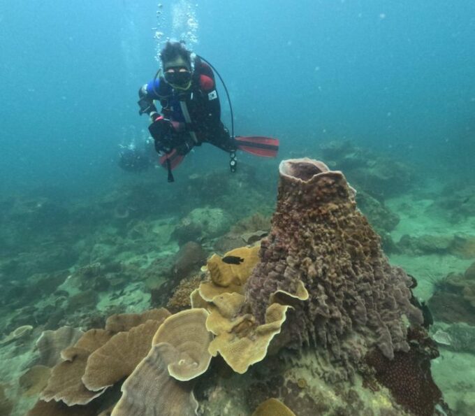 Phu Quoc: Scuba Diving Tour, One Day in the Ocean of Phu Quoc - Recap