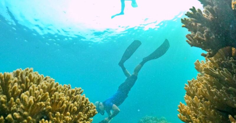 Phu Quoc: Small-Group Pro Snorkeling Tour by Speedboat - Key Points