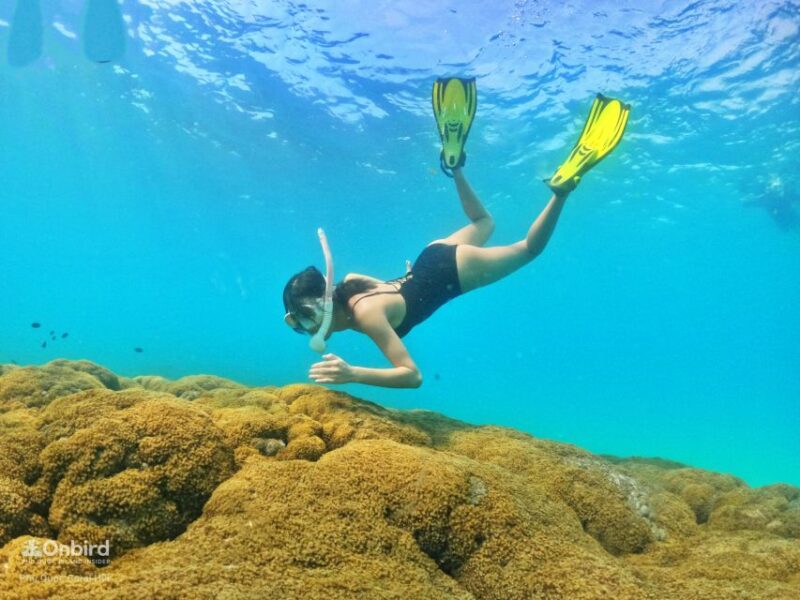 Phu Quoc: Small-Group Pro Snorkeling Tour by Speedboat - Snorkeling Equipment and Practices