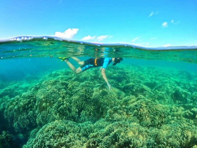 Phu Quoc: Small-Group Pro Snorkeling Tour by Speedboat - Restrictions and Guidelines